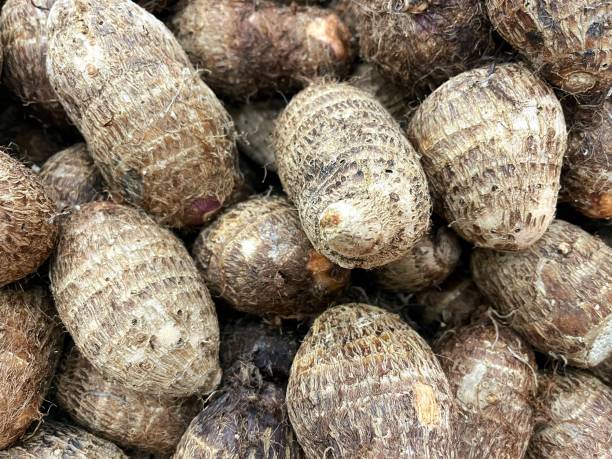 istock bulk food yam root for sale 1490803590