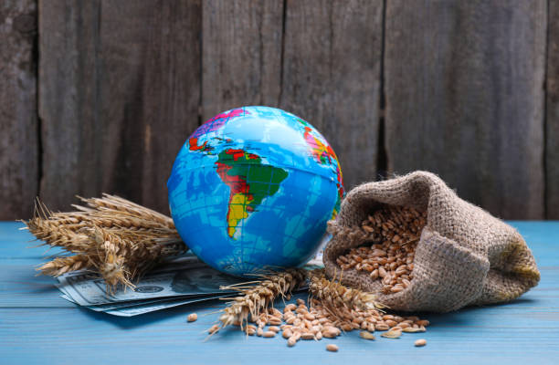 istock Globe and bag of wheat grains on light blue wooden table. Import and export concept 1490803699