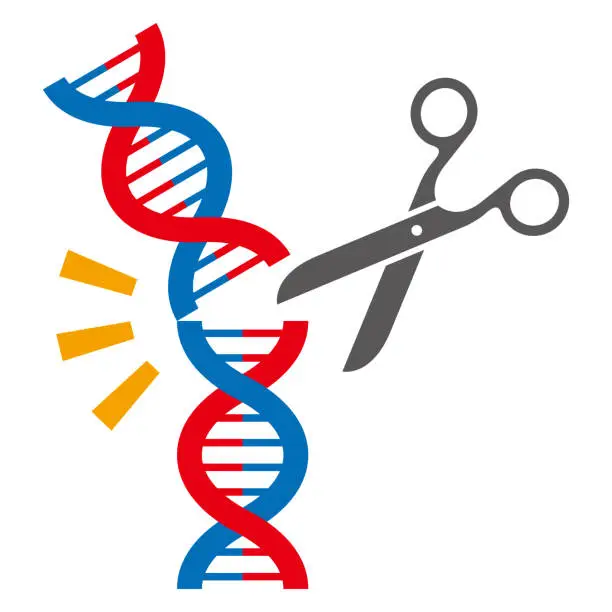 Vector illustration of Genome editing image vector illustration