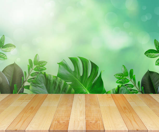 istock Wood table top on nature green blurred background 1490809096