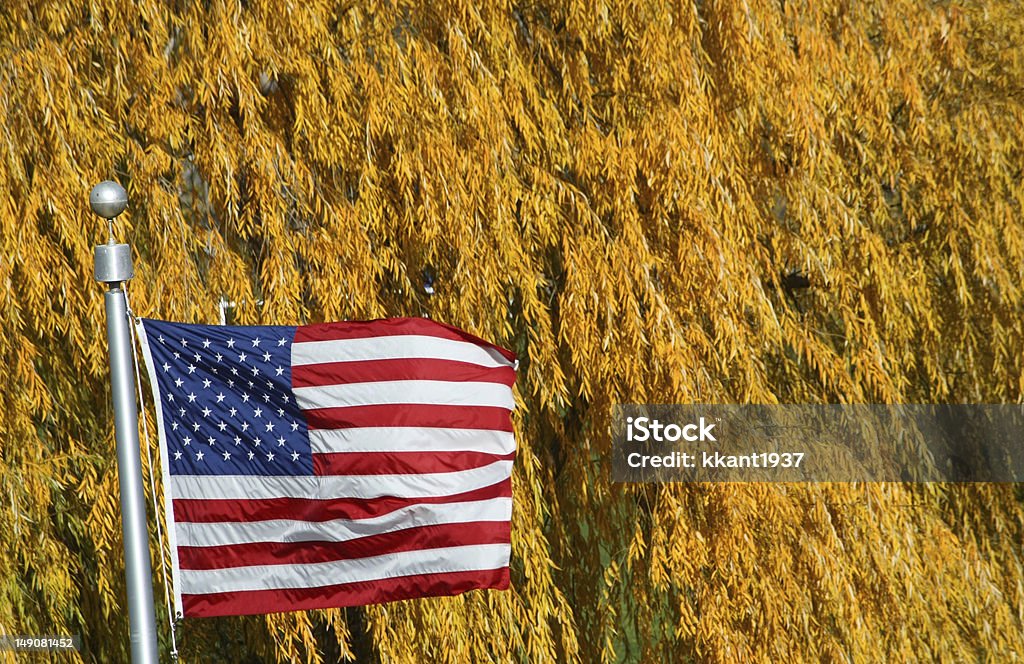 Die Sterne, Streifen und Blätter - Lizenzfrei Amerikanische Flagge Stock-Foto