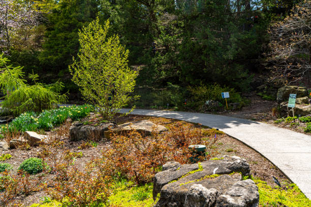 istock Royal Botanical Gardens - Rock Garden, Hamilton, Canada 1490816166
