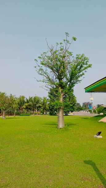 istock View from Depok city square 1490822382