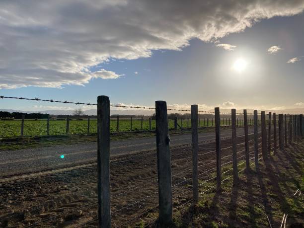istock Looking through a farm fence 1490823107