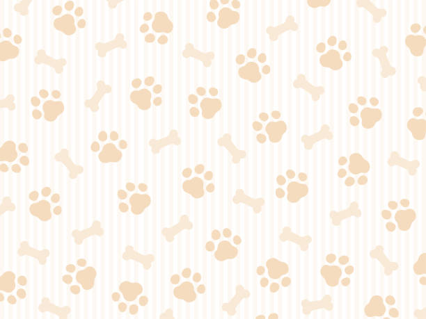 ilustrações de stock, clip art, desenhos animados e ícones de dog paw seamless pattern. vector illustration of animal paw print texture. - animal de estimação