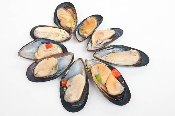 Mussels stock photo