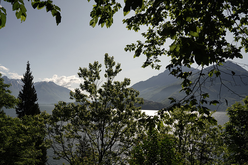 View of a glimpse of Lake Como from the path of Il Giardino del Merlo. A hiking trail where you can admire mani species of alpine and exotic plants, that from Dongo climbs up the hill to the church of St. Eufemia, ad descends on the other side, on the Musso side
