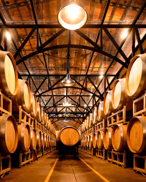 Rustic Wine Cellar with Glass Ceiling and Hanging Lamps A vertical photograph of a rustic wine cellar featuring rows of wine barrels, a glass ceiling, and hanging lamps providing warm lighting. The image captures the depth and perspective with a vanishing point. wine keg stock pictures, royalty-free photos & images