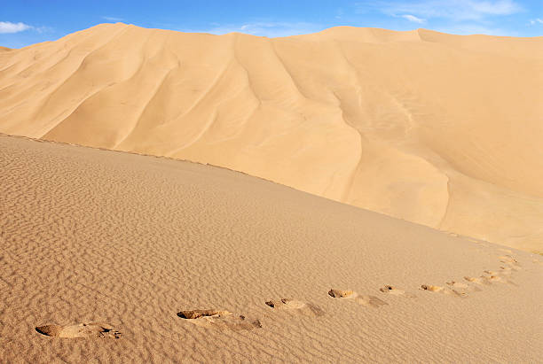 Footprints in the sand stock photo