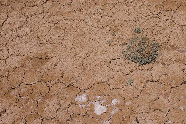 Extremely dry lake bed stock photo