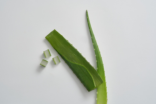 Fresh aloe vera isolated on white background. Aloe vera contains many nutrients such as antioxidants, vitamins (A, C, E) help to brighten, soften and improve skin condition. Natural extract.