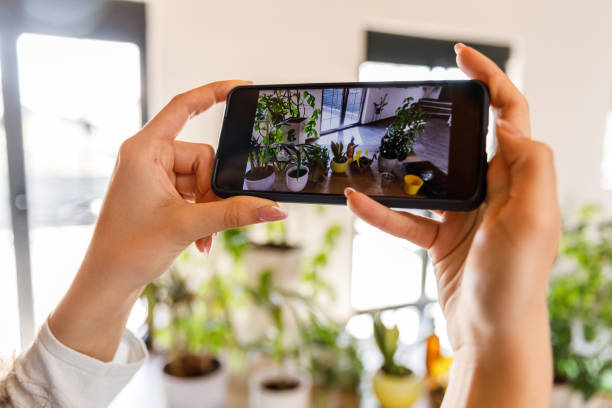 istock Young woman taking photos of her houseplants while tending them 1490833347