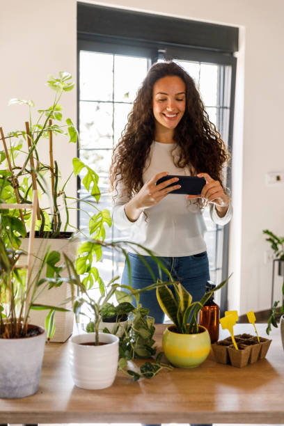 istock Young woman taking photos of her houseplants while tending them 1490833361