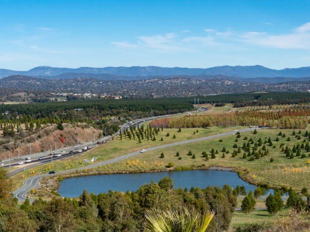 autunno di alberi e il lago - australian capital territory foto e immagini stock