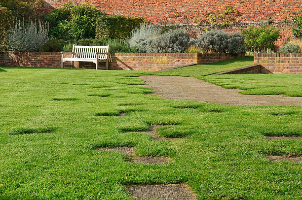 istock Wooden bench and lawn 149083663