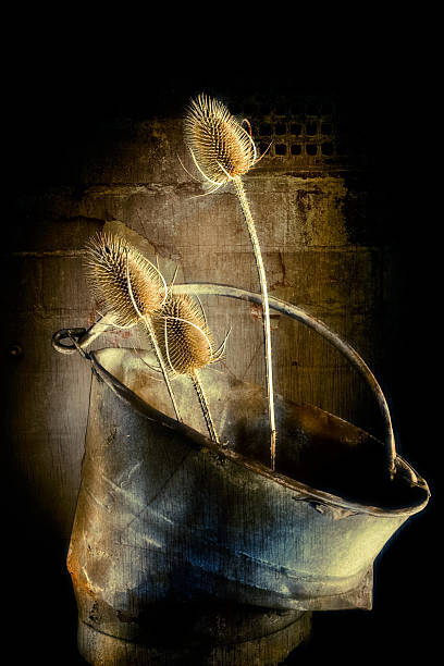 Rusty, collapsed steel bucket with teasels stock photo