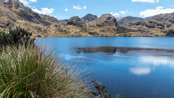 istock El Cajas National park, Toreadora lake. 1490843807