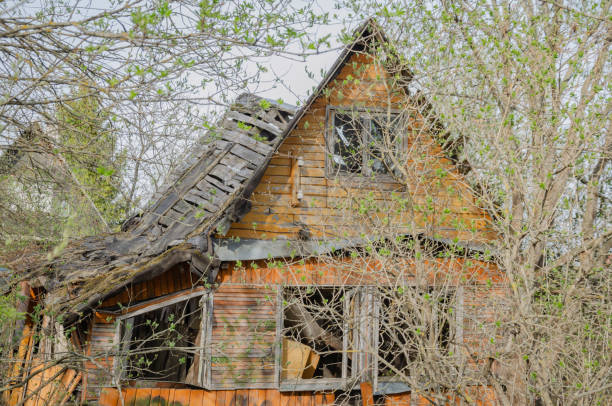 istock A ruined wooden house between the bushes 1490850886