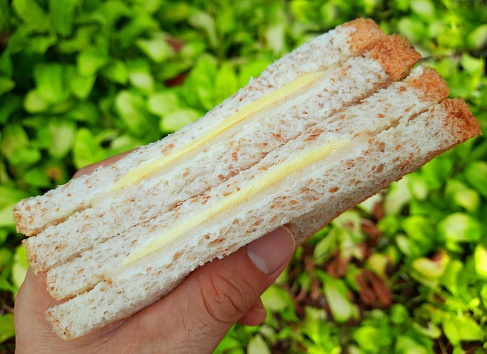 Hand holding Ham and Cheese Sandwich - green background.