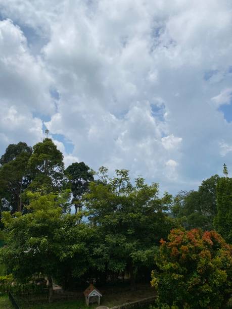 istock Natural hills garden with sky 1490853330