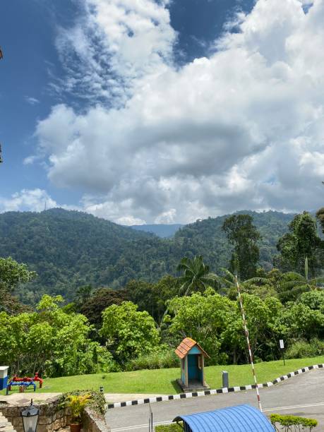 istock Natural hills garden with sky 1490853337
