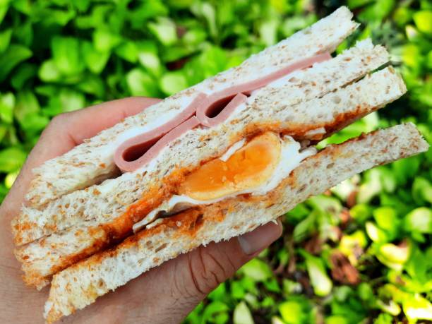 istock Hand holding Ham and Egg Sandwich - green background. 1490853969