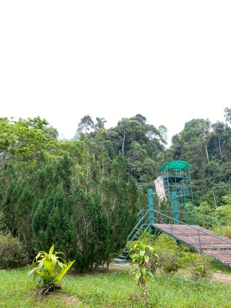 istock Natural hills garden with sky 1490854120