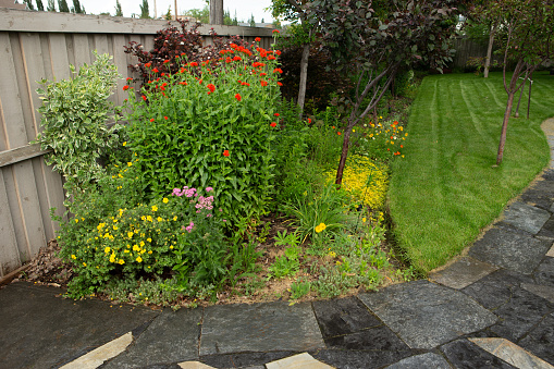 Backyard flowers garden along wooden fence with stone path