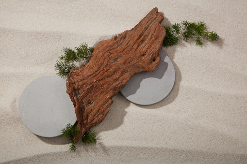 Natural concept with a brown tree branch arranged with two gray podiums in round shape on the sandy background. Blank space to display product