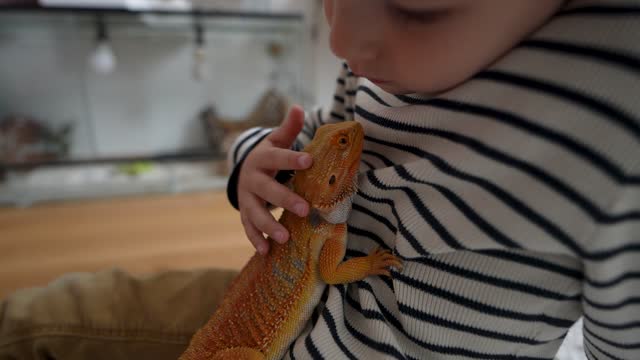 Little boy and his pet lizard