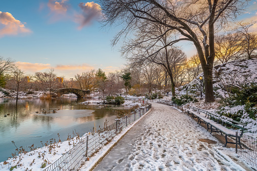 Central Park in New York City in Manhattan USA in winter with snow
