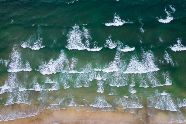 istock Aerial view of sea wave 1490872307