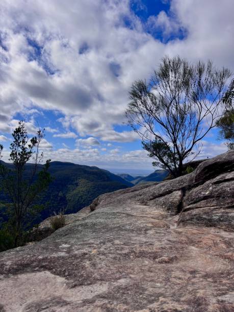 faulconbridge point, le blue mountains - lookout mountaint foto e immagini stock