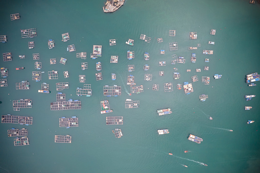 Aerial view of fish raft at sea