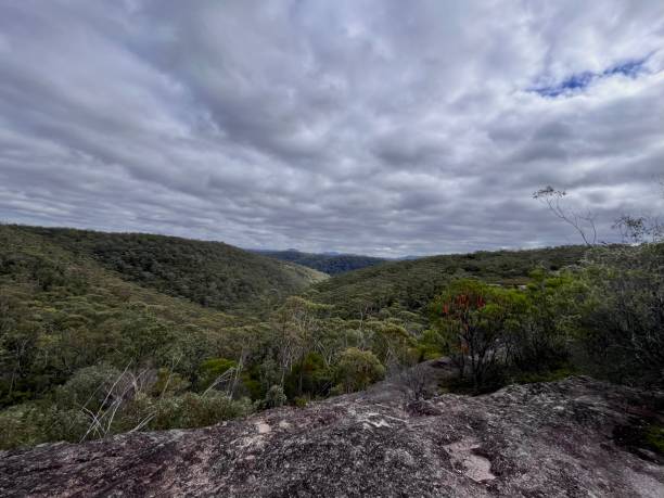 faulconbridge point, le blue mountains - lookout mountaint foto e immagini stock