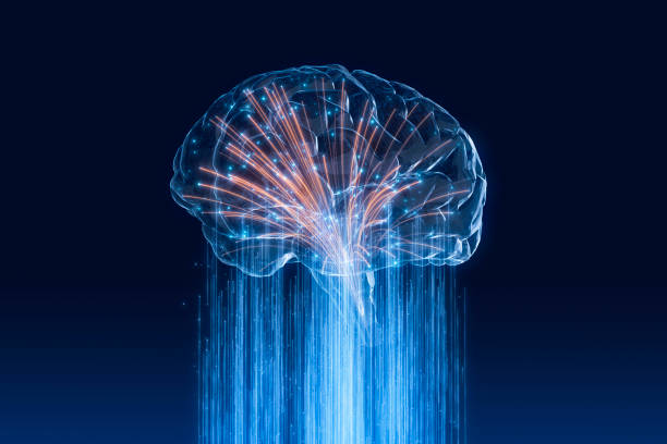 istock digital illustation of Futuristic Brain in big data connection systems or artificial intelligence 1490875813