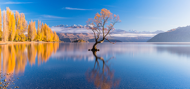 Wanaka is a small town located in the Southern Alps of New Zealand's South Island. It is situated on the shore of Lake Wanaka, which is surrounded by mountains and is known for its crystal-clear waters and stunning natural beauty.