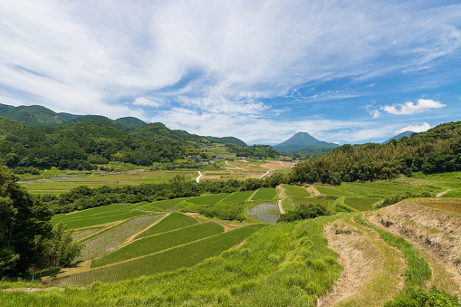 it is Rice terraces and blue sky