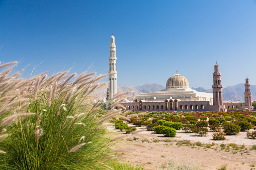 View through adorned columns on part of Sheikh Zayed Grand Mosque plateau and domes