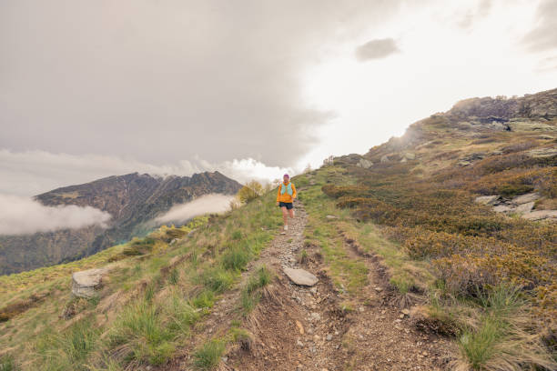 istock Trail runner bounds along mountain trail 1490885558
