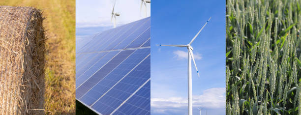 istock Collage of windmills, solar panels and wheat fields. Harvesting, renewable energy. 1490892665