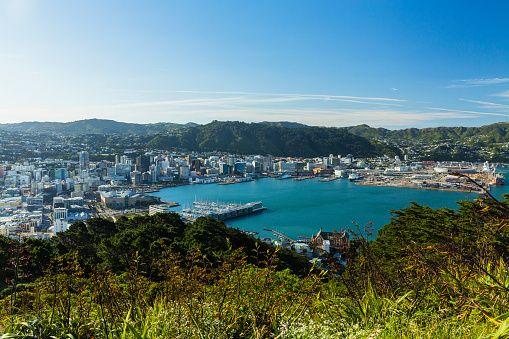 A view over the centre of New Zealand's capital city, Wellington.
