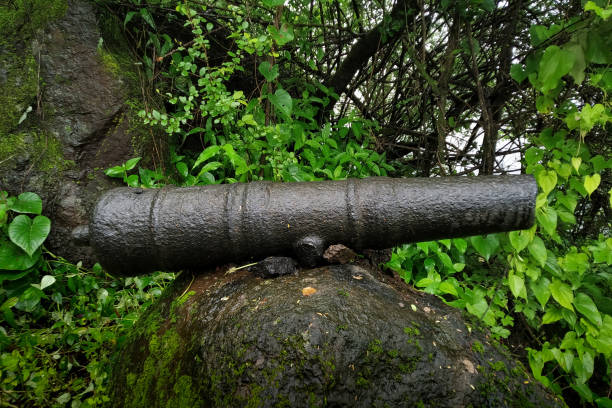 istock Ancient cannon on Palgad fort, Maharashtra, India 1490904618