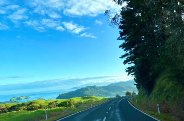 Coromandel area The road between Coromandel and Whitianga coromandel peninsula stock pictures, royalty-free photos & images