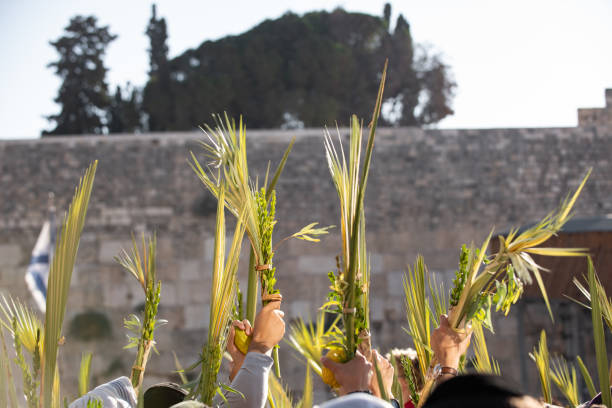 Worshippers at the Western Wall pray and dance with the lulav and etrog during the Jewish festival of Sukkot in Israel.