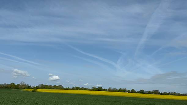 istock Blue skies looking across farmers fields 1490908981