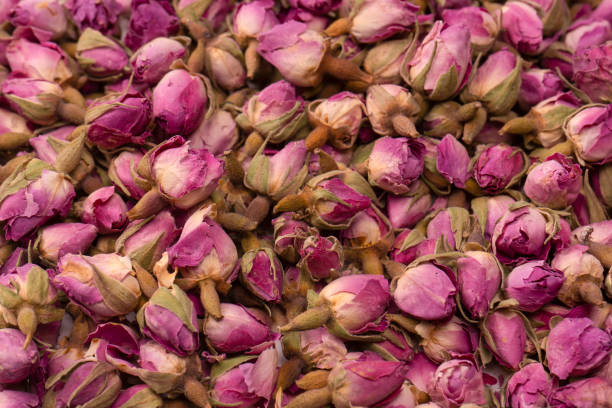 istock Dry tea roses isolated on white background. 1490909852