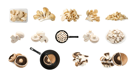 Mushroom Mix Set Isolated, Oyster Mushrooms, Champignons, Portobello on White Background, Fresh Fungi Collection