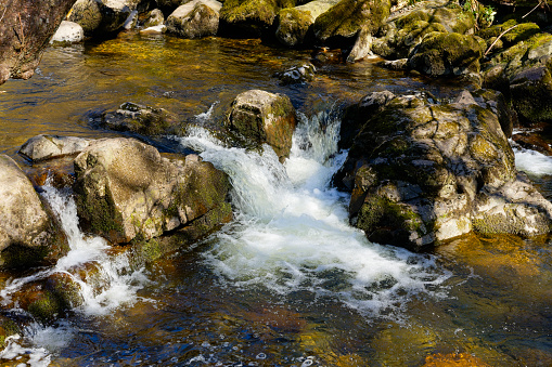Aira Beck flows quickly over rocks creating small waterfalls as it passes through woodland on its way to Ullswater.