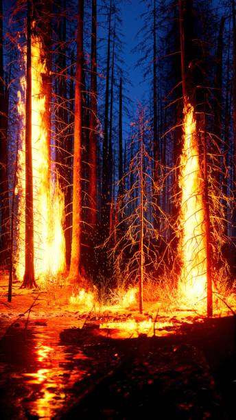 лесной пожар в приморье - ночной пожар на берегу моря - огромные smoky горы стоковые фото и изображения